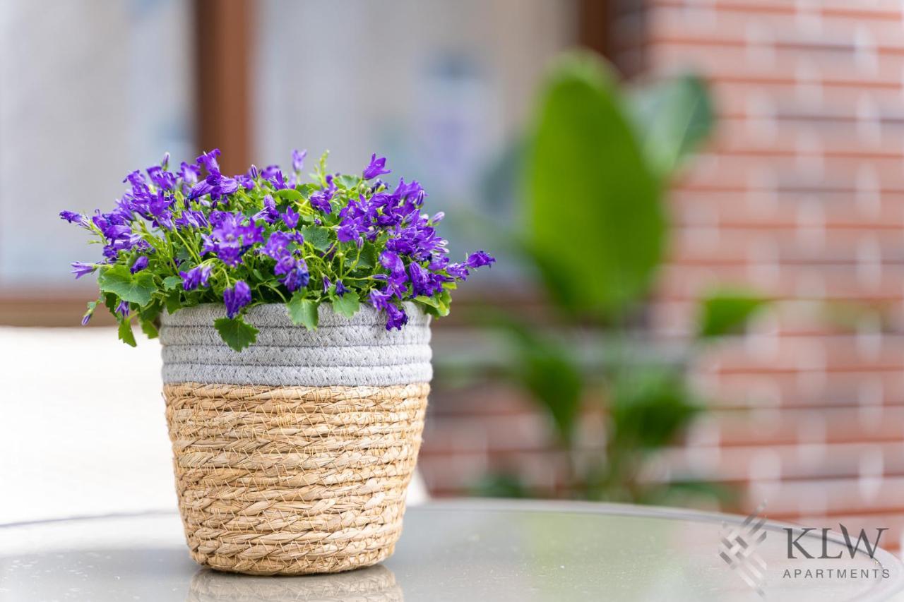 Klw Apartments Garden Centrum - Klimatyzacja Шчечин Екстериор снимка